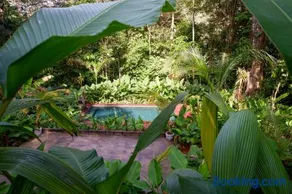 Finca LOS 4 VIENTOS - Image 2