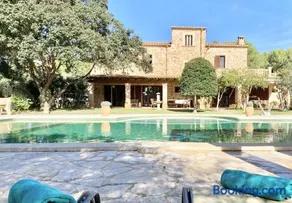 Pine tree Finca Espiga - Image 2