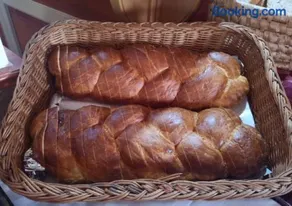 Határ Csárda Panzió - Image 3