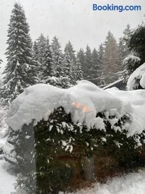 Schönwald Waldchalet am Musenberg - Image 2