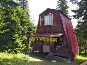 House in forest - Image 2