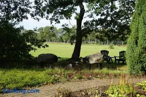 Saksisch Boerderijtje - Image 2