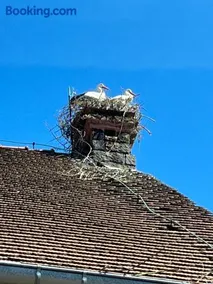 Gîte L'Instant Durable - Image 2