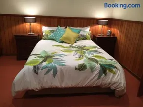 Kentia Palms - Image 2