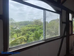 playa papaya - Image 4