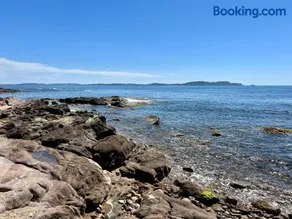 Bord de mer aux Pins Penchés - Image 3