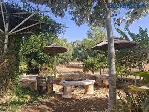 הסוויטה הפנורמית - Panoramic Suite - Image 4