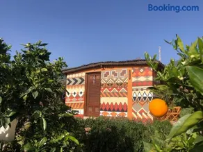 Afrikan Krisant Tenerife, Casa Rural Ecologica - Image 1