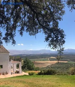 Finca El Almendrillo - Image 3