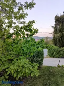 Mitrovića kuća - Image 3