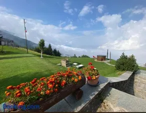 Holiday Creek Mortirolo - Image 1