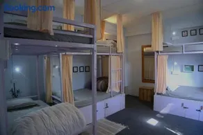Tag Along 2 0 Hostel Gangtok - Image 4