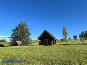 Lakeside cabin with saunas, hot-tub options - Image 1