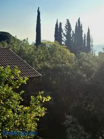 Roof Of The Galilee - Image 2