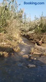 בין הר למעיין - Image 3