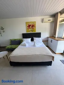 Studio Hiva - Image 1