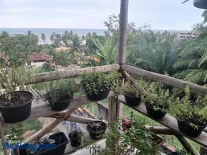 Casa de praia Laranja a beira-mar - Image 3
