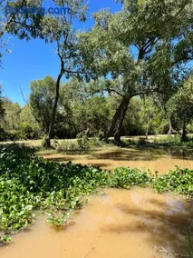 Casa quinta con pileta y río privado, ideal grupos a 60km de CABA - Image 1