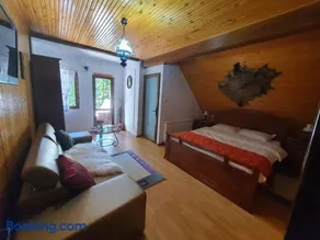 Casa Serban - Image 5