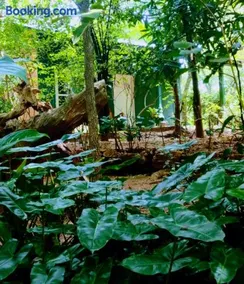 Nethu Herbal Villa - Image 1