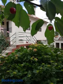 Casa do César Douro Guest House - Image 2