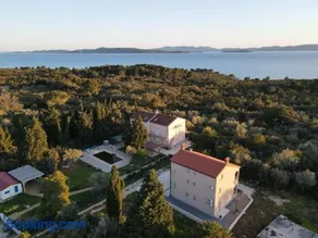 Agava - Image 5