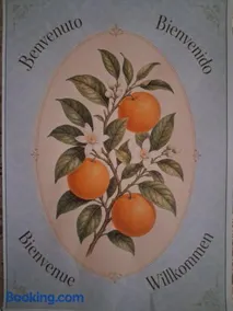 Casa Naranja - Image 1