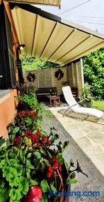 Le rose di Mapi - Image 3