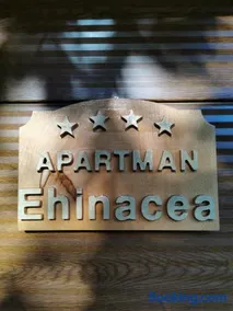 EHINACEA - Image 4