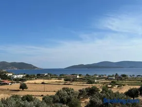 Tzaferi Olive Apartments - Image 2