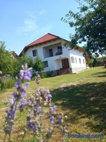 CASA LAVINIA CRASNA GORJ - Image 1