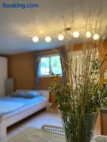 Holiday accomodation appartamento in seminterrato - Image 2