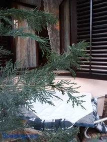 Apartments Garden - Image 4