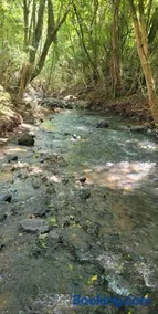 Sitio marau rs - Image 5