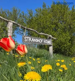 Strandhof Holnis - Image 1
