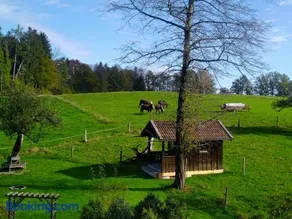 Appartement de vacances avec barbecue, terrasse et jardin | Vue jardin - Image 3