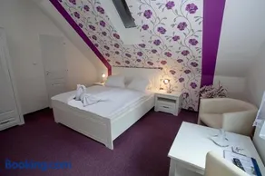 Wellness penzion Harmonie Rohanov - Image 3