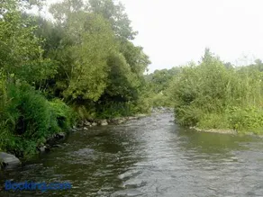 Pensiunea Sovirag - Image 2