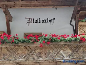 Plattnerhof Kaunertal - Image 2