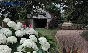 La Maison des Tilleuls - Image 4