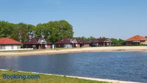 Seemöwe - Image 3