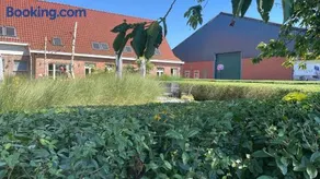 B&B De Zandput - Image 1