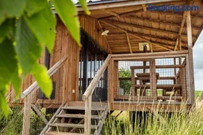 Ecau Lodge - Logement insolite à 30km de Pairi Daiza - Image 3