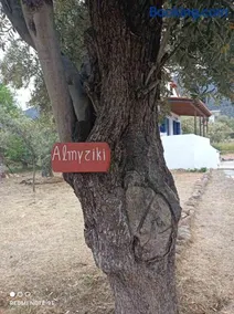 Almyriki - Image 3