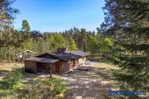 1499-Aakirkeby-Fyrreskoven-31 - Image 1