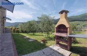 Salvia - Image 5