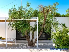 Cocotrullo - Image 2
