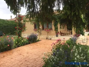 El Quinto Pino - Image 5