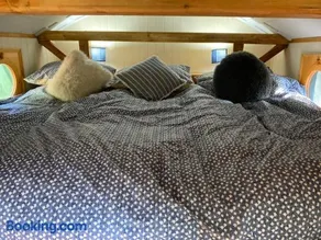 The Owl House - Image 5