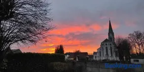 A l'ombre du ginkgo - Image 2